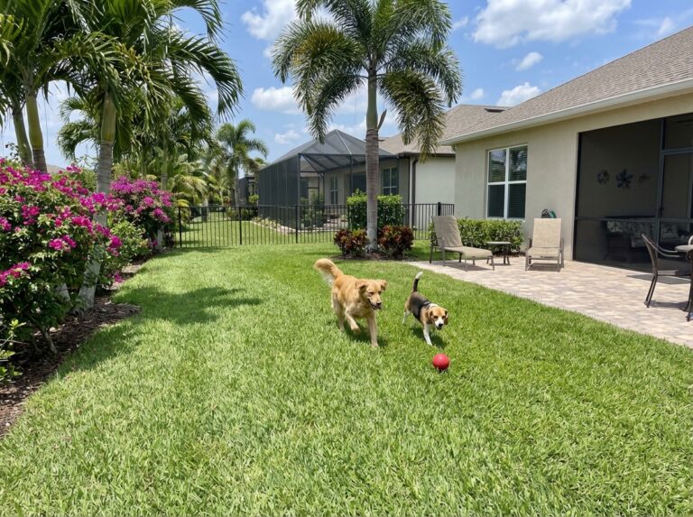 Is a Dog Poop Removal Service Worth It? DIY vs. Professional